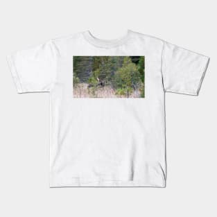 Hidden Moose, Algonquin Park, Canada Kids T-Shirt